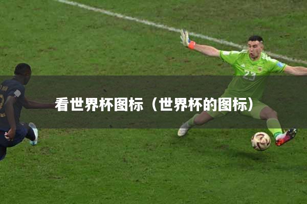 看世界杯图标(世界杯的图标)