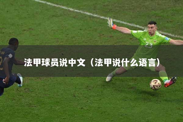 法甲球员说中文(法甲说什么语言)