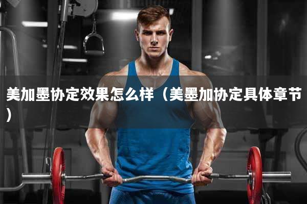 美加墨协定效果怎么样（美墨加协定具体章节）