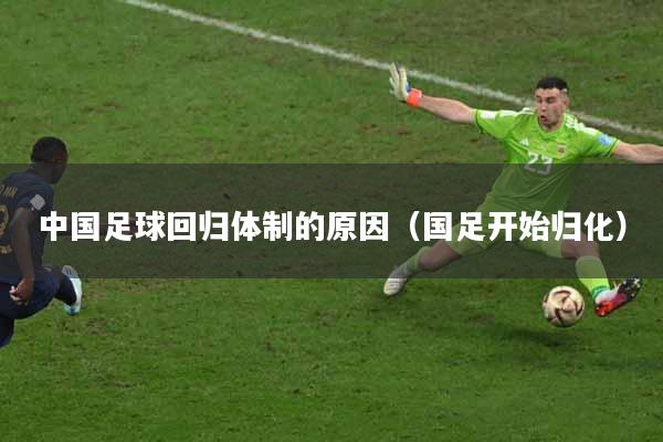 中国足球回归体制的原因（国足开始归化）