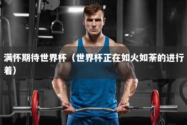 满怀期待世界杯（世界杯正在如火如荼的进行着）